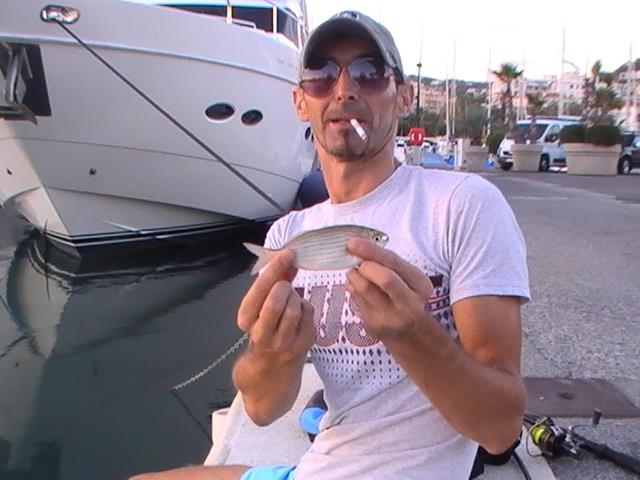 incep sa apara pesti din franta - 2013-09-05-195344.jpg